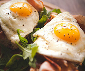 SPONSOR: What Eggs Do to Senior Brains