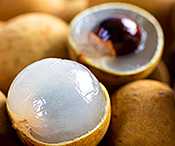 SPONSOR: Doctors Can’t Explain it: 1 Fruit Could Beat Metformin in 72 Hours