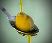 SPONSOR: Drink Olive Oil for Fat-Loss, Blood Sugar & Skin