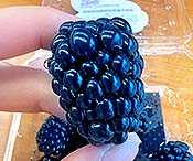 SPONSOR: Doctor Warns: Never Eat This Berry Without Doing This First